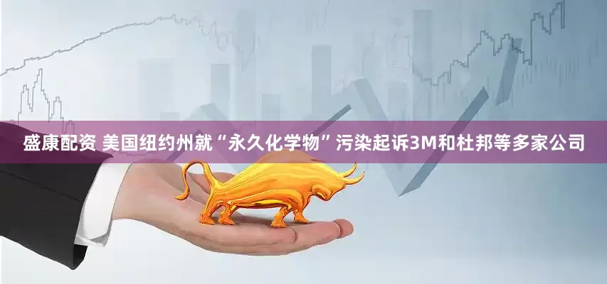 盛康配资 美国纽约州就“永久化学物”污染起诉3M和杜邦等多家公司